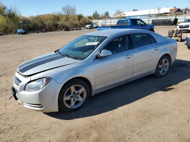 1G1ZC5EB5AF202488