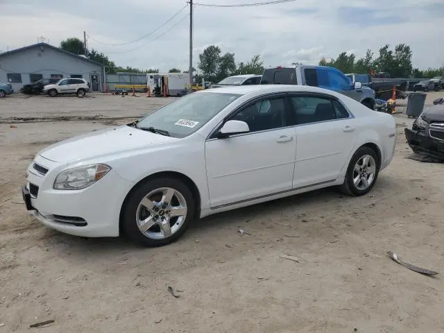 1G1ZC5EB7AF311602