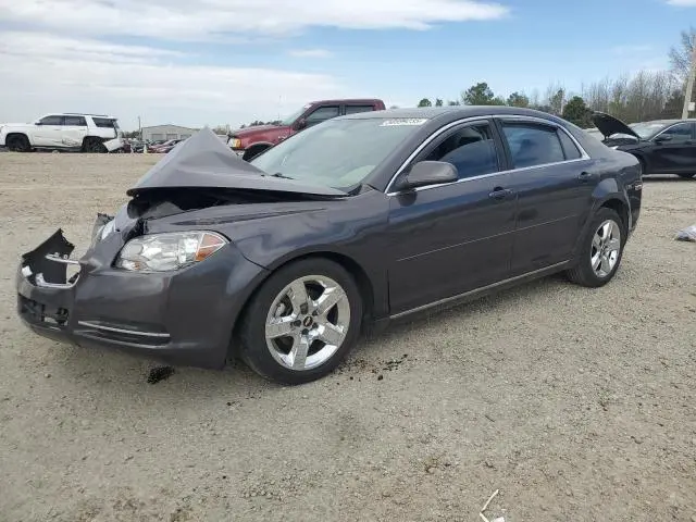 1G1ZC5EB9AF320043