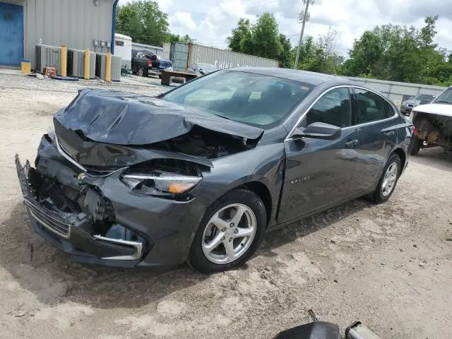 1G1ZC5ST6JF185519