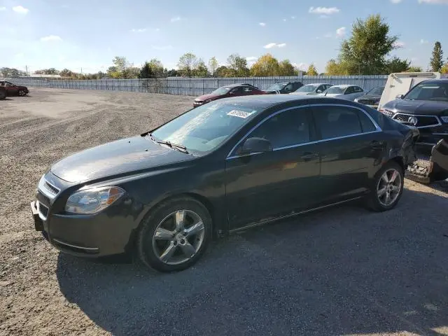 1G1ZD5E05AF305468