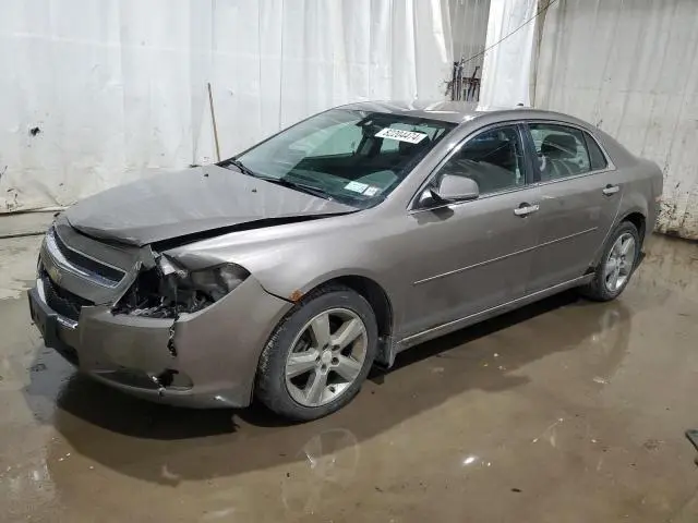 1G1ZD5E06CF350809
