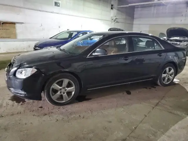 1G1ZD5E10BF315464