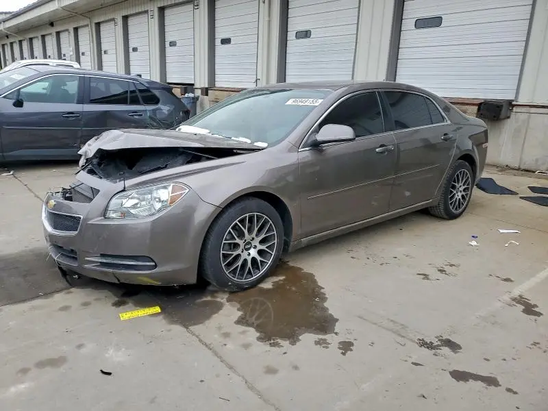1G1ZD5E15BF253950