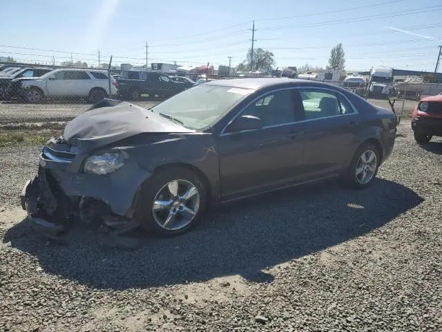 1G1ZD5E17BF188521