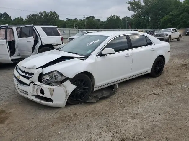 1G1ZD5EB0AF193311