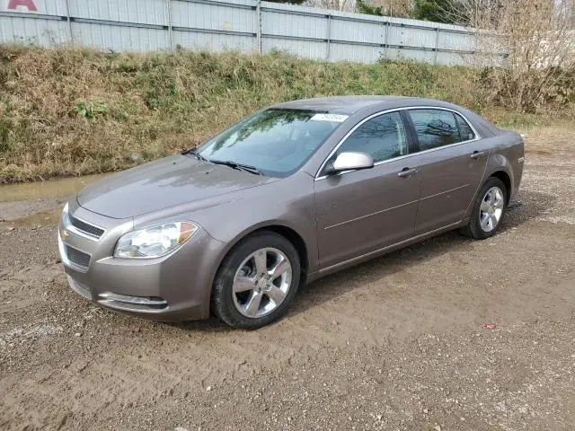 1G1ZD5EB4AF317970