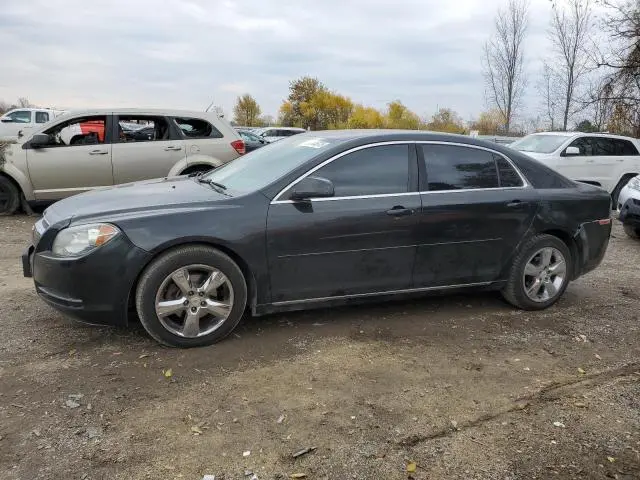 1G1ZD5EU7BF171440