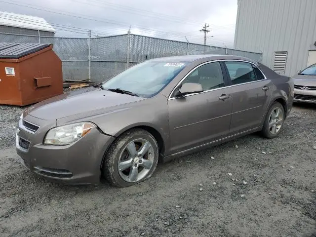1G1ZD5EU7BF202203