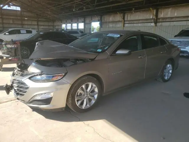 1G1ZD5ST0PF218066