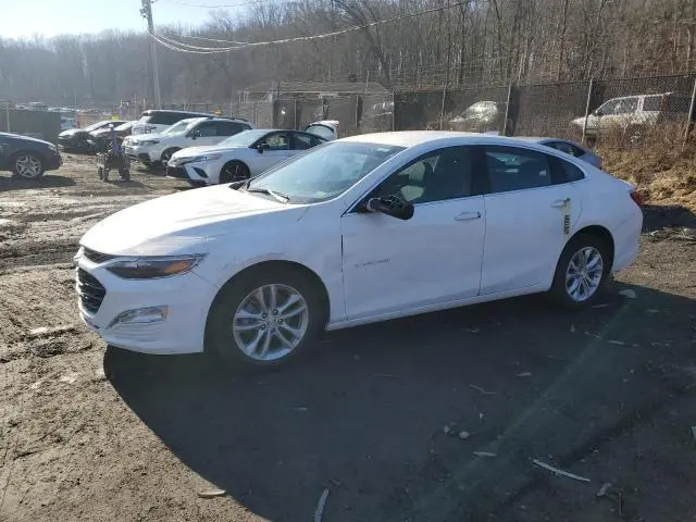 1G1ZD5ST0RF117189