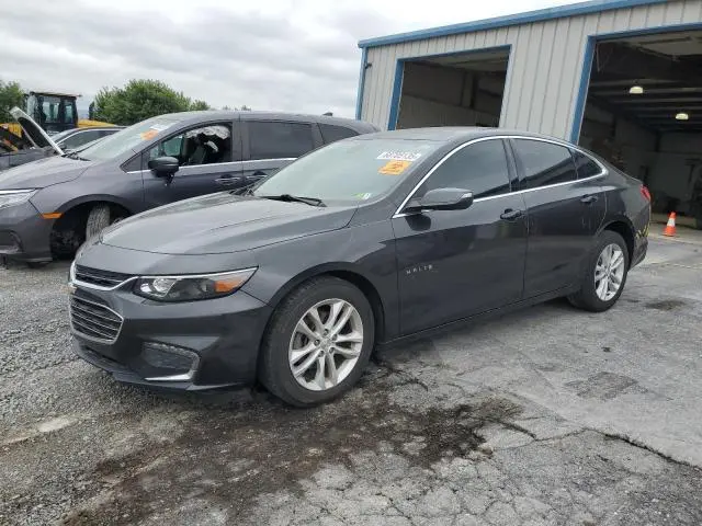 1G1ZD5ST1JF123264