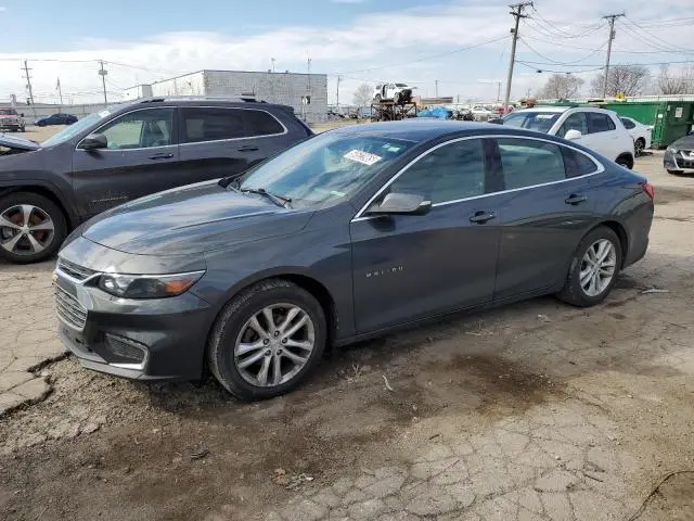 1G1ZD5ST1JF146818