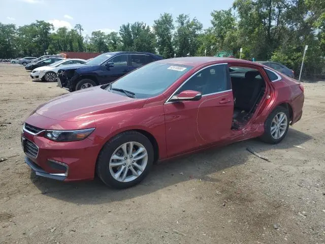 1G1ZD5ST1JF244795