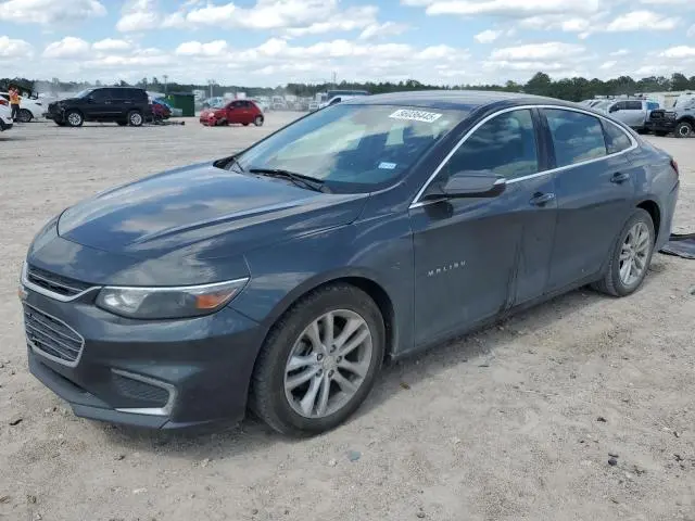 1G1ZD5ST1JF246031