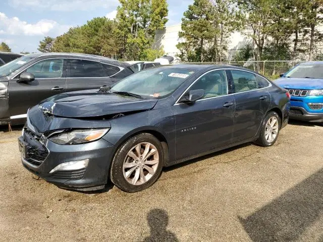 1G1ZD5ST1KF207893