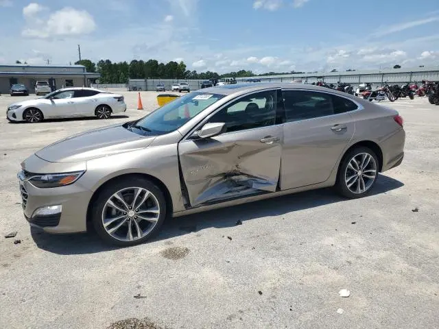1G1ZD5ST1NF117101