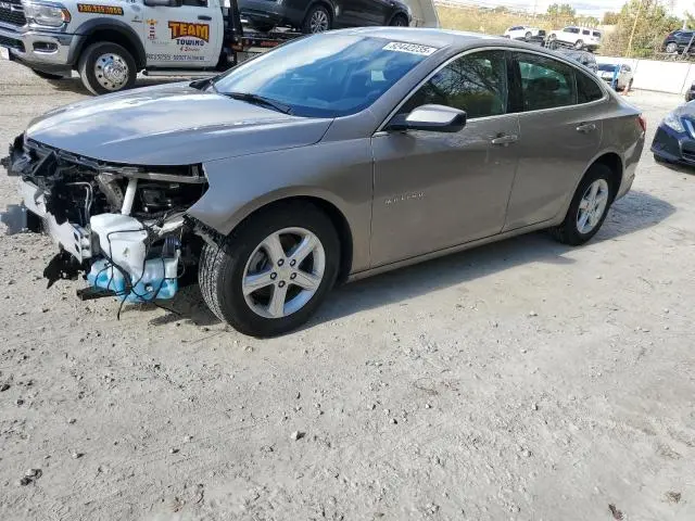 1G1ZD5ST1PF119174