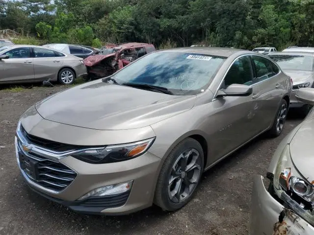 1G1ZD5ST1PF131843