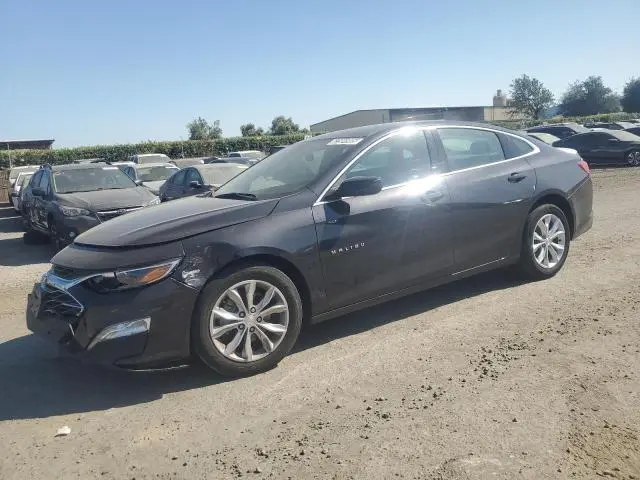 1G1ZD5ST1PF169685
