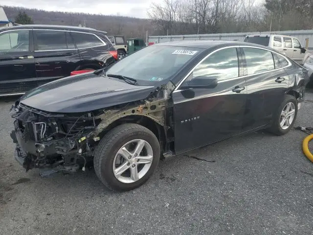 1G1ZD5ST1PF183411