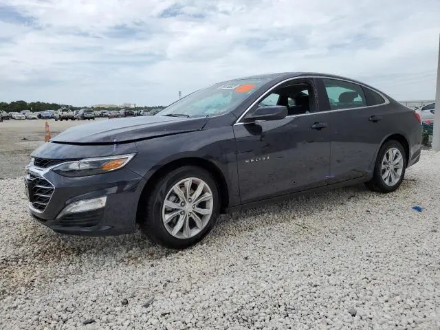 1G1ZD5ST1PF187975