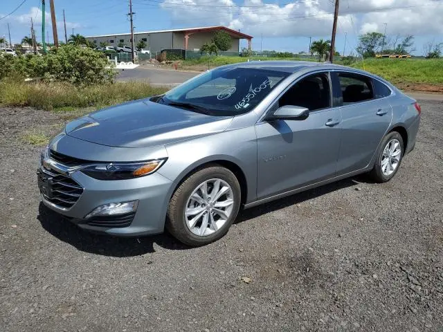 1G1ZD5ST1SF136985