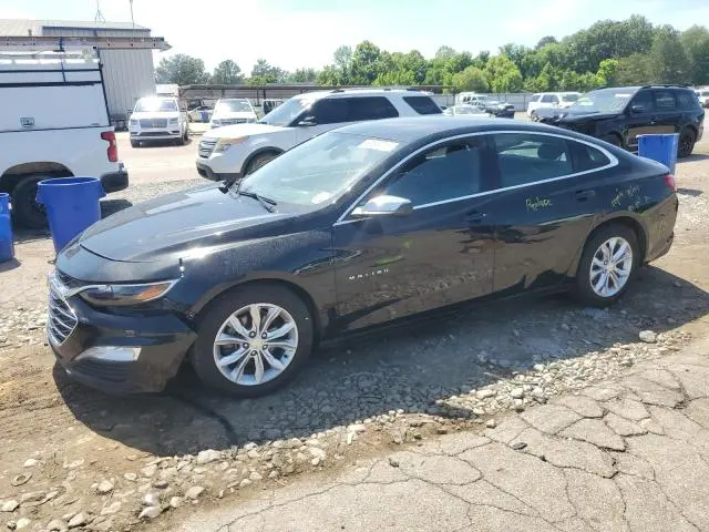 1G1ZD5ST2KF137594