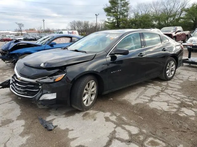 1G1ZD5ST2MF018981