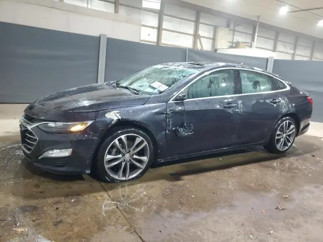 1G1ZD5ST2PF141491