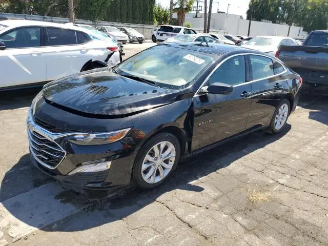1G1ZD5ST2PF194384