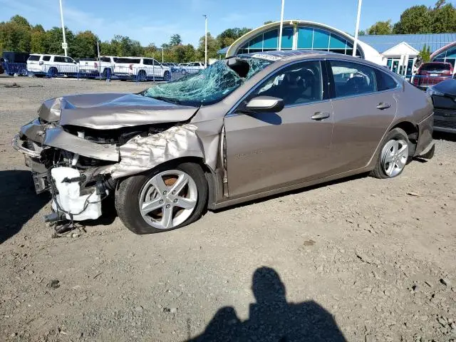 1G1ZD5ST2PF240215