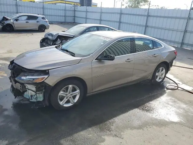 1G1ZD5ST3PF176296