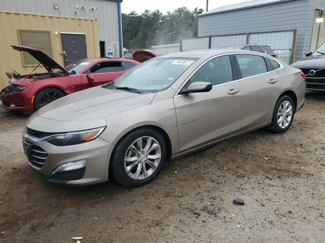 1G1ZD5ST3PF188979