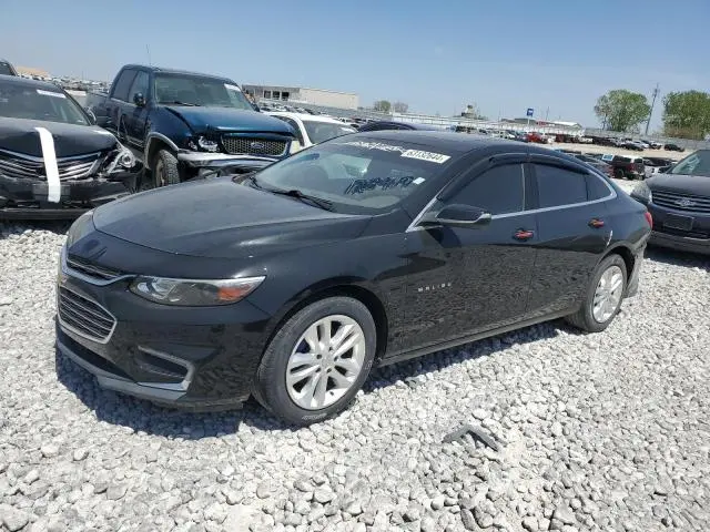 1G1ZD5ST4JF123419
