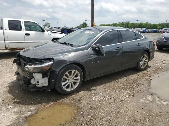 1G1ZD5ST4JF169350