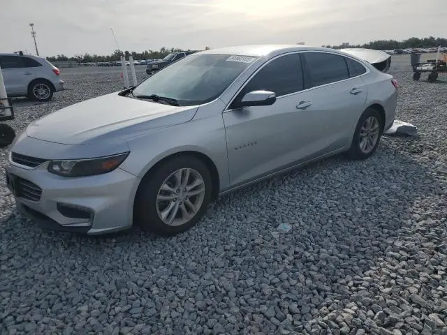 1G1ZD5ST4JF184284