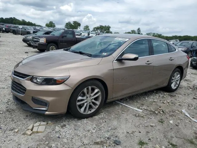 1G1ZD5ST4JF202363