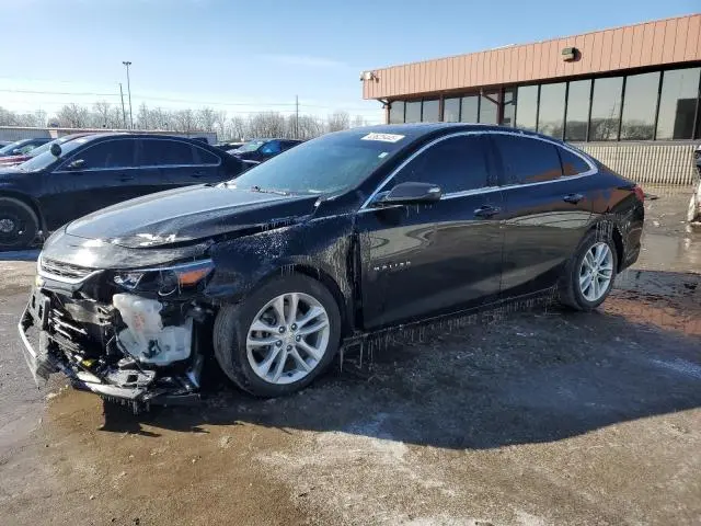 1G1ZD5ST4JF231703