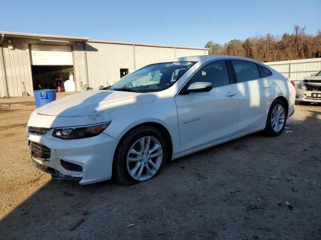1G1ZD5ST4JF243561