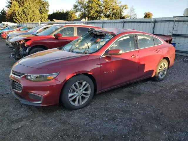 1G1ZD5ST4JF245133