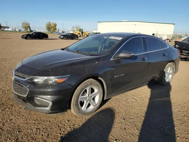 1G1ZD5ST4JF293036