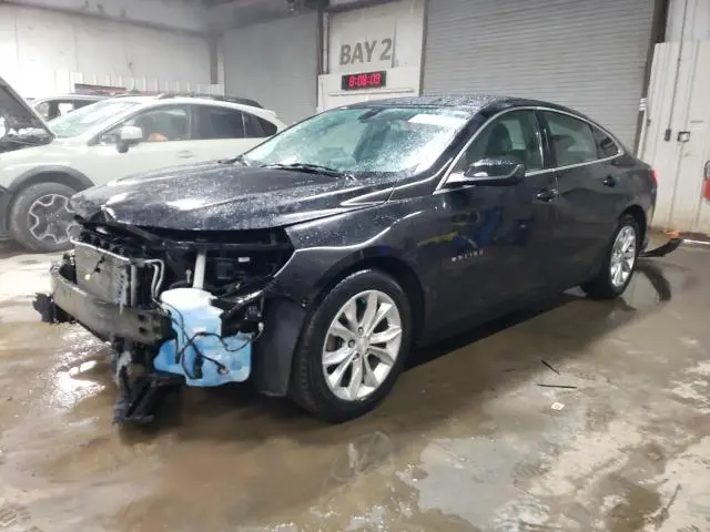 1G1ZD5ST4KF209217