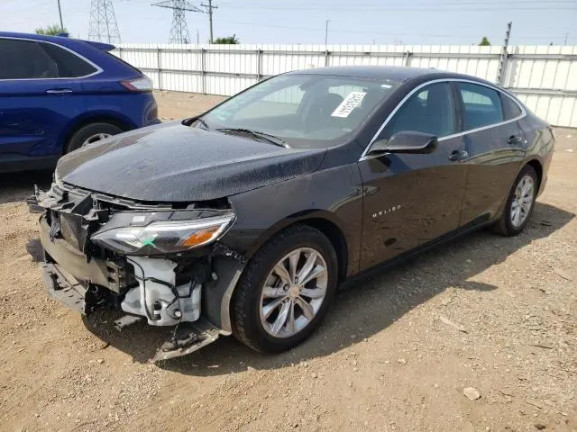 1G1ZD5ST4MF049956