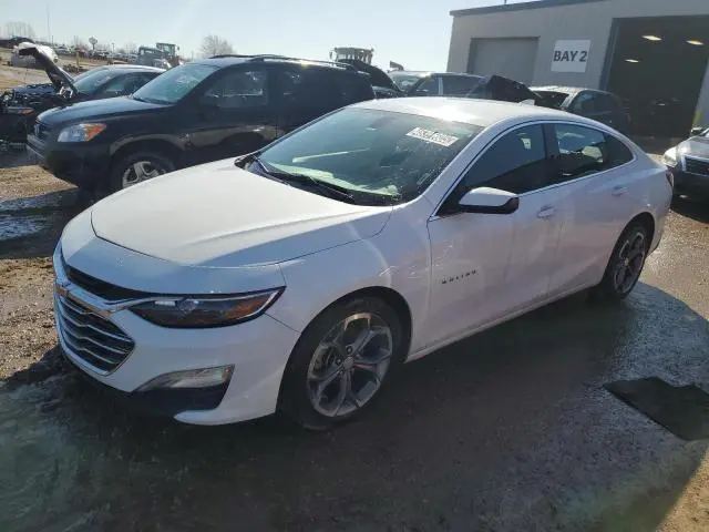 1G1ZD5ST4MF078146