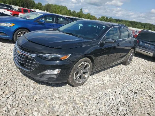 1G1ZD5ST4RF152057