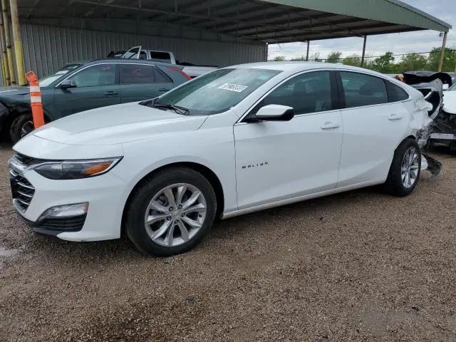 1G1ZD5ST4RF156318