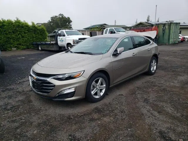 1G1ZD5ST4RF224018