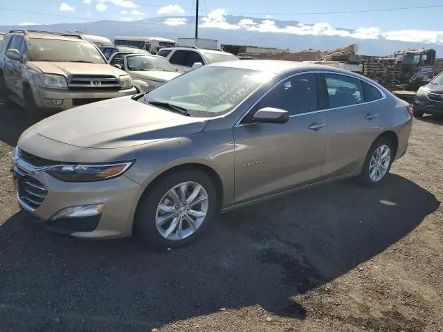 1G1ZD5ST4SF143946