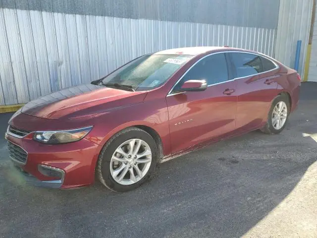 1G1ZD5ST5JF176856